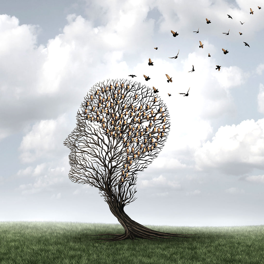 Deconstructing Music:  The Caretaker - Everywhere At The End Of Time