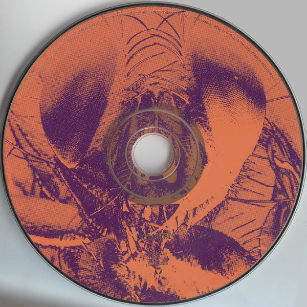 Alice In Chains – Jar Of Flies -  CD Vinyl Pursuit Inc