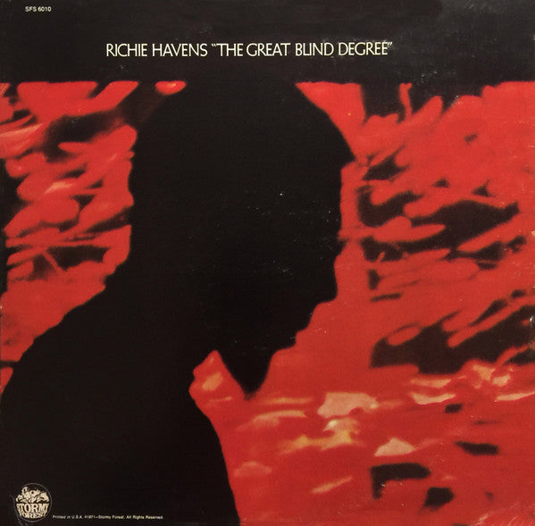 Richie Havens – The Great Blind Degree - 1971 US Pressing VinylPursuit.com