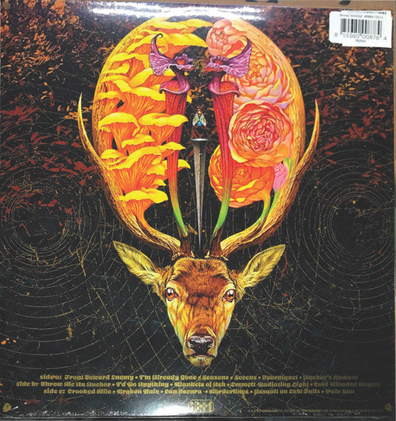 Baroness – Gold and Grey - Limited Edition, 180g Etched VinylPursuit.com