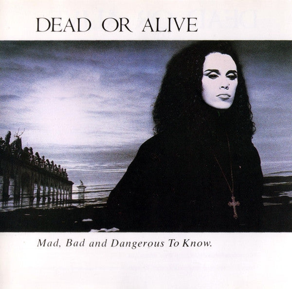Dead Or Alive – Mad, Bad, And Dangerous To Know - 1986 - Bargain Bin! VinylPursuit.com