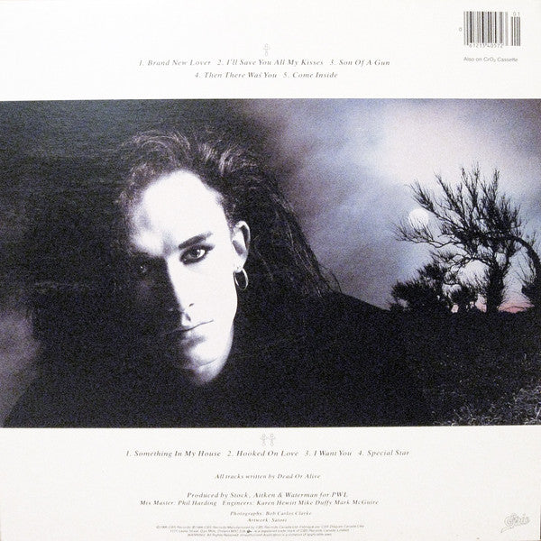 Dead Or Alive – Mad, Bad, And Dangerous To Know - 1986 - Bargain Bin! VinylPursuit.com