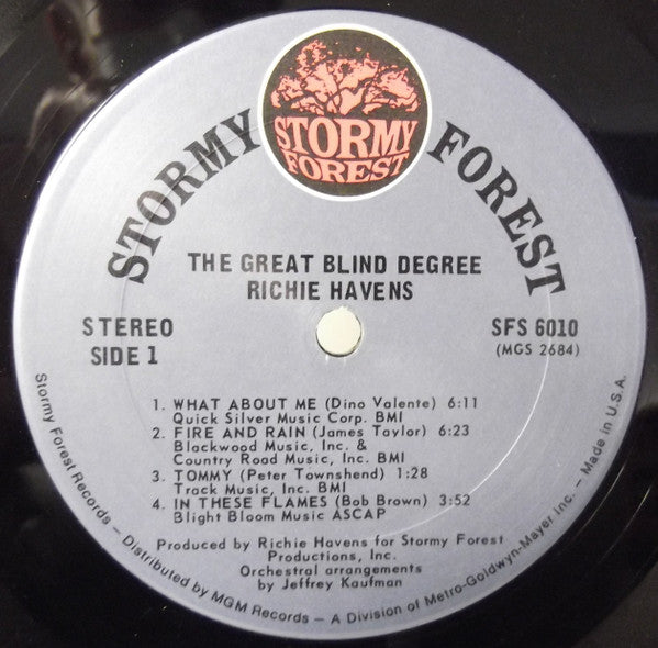 Richie Havens – The Great Blind Degree - 1971 US Pressing VinylPursuit.com