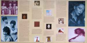 Diana Ross – All The Great Hits - 1981 VinylPursuit.com