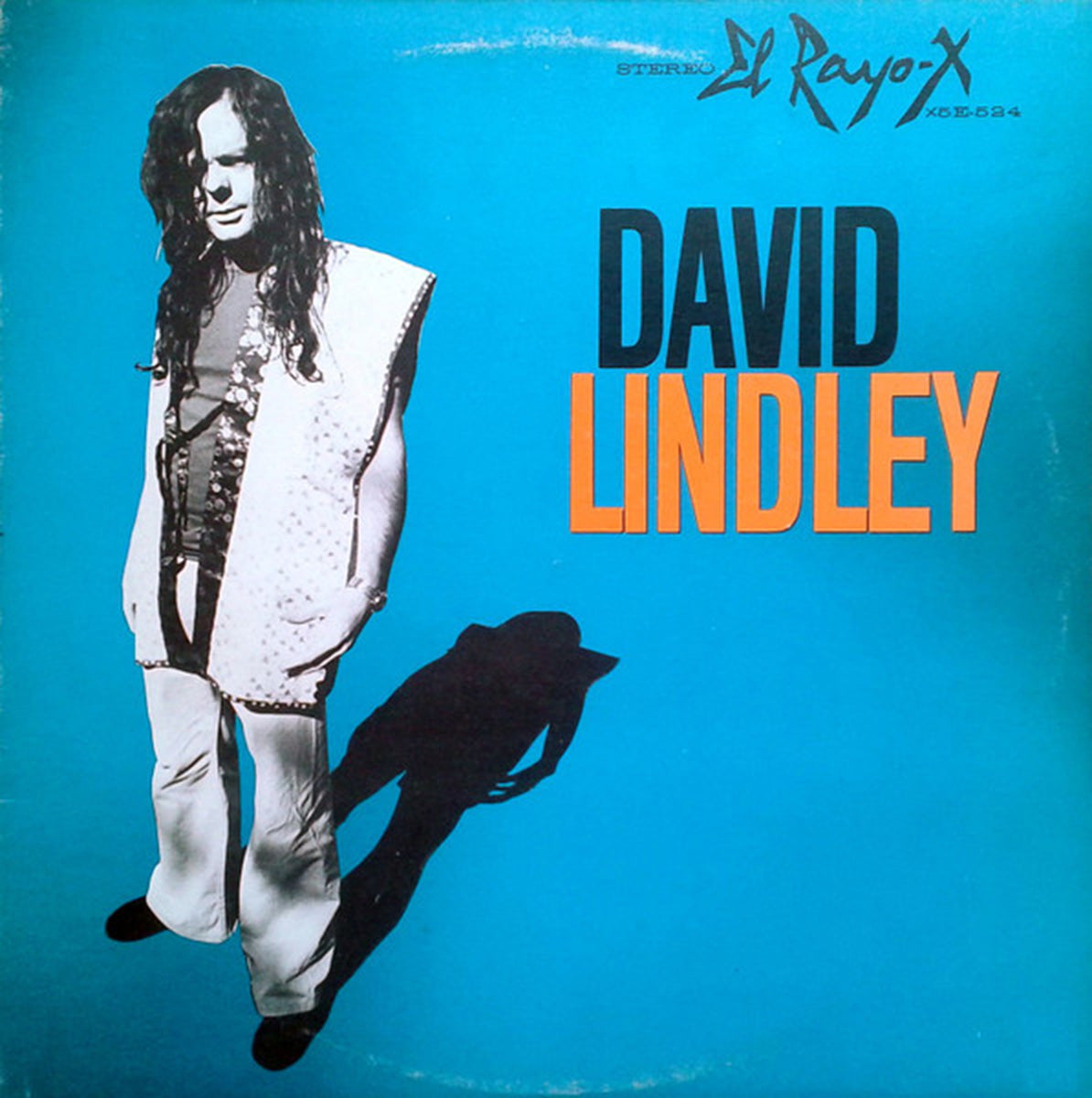 David Lindley – El Rayo-X - 1981 VinylPursuit.com