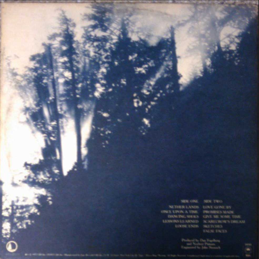 Dan Fogelberg - Nether Lands VinylPursuit.com