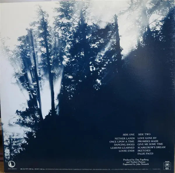 Dan Fogelberg – Nether Lands - 1977 Original Pressing Vinyl Pursuit Inc