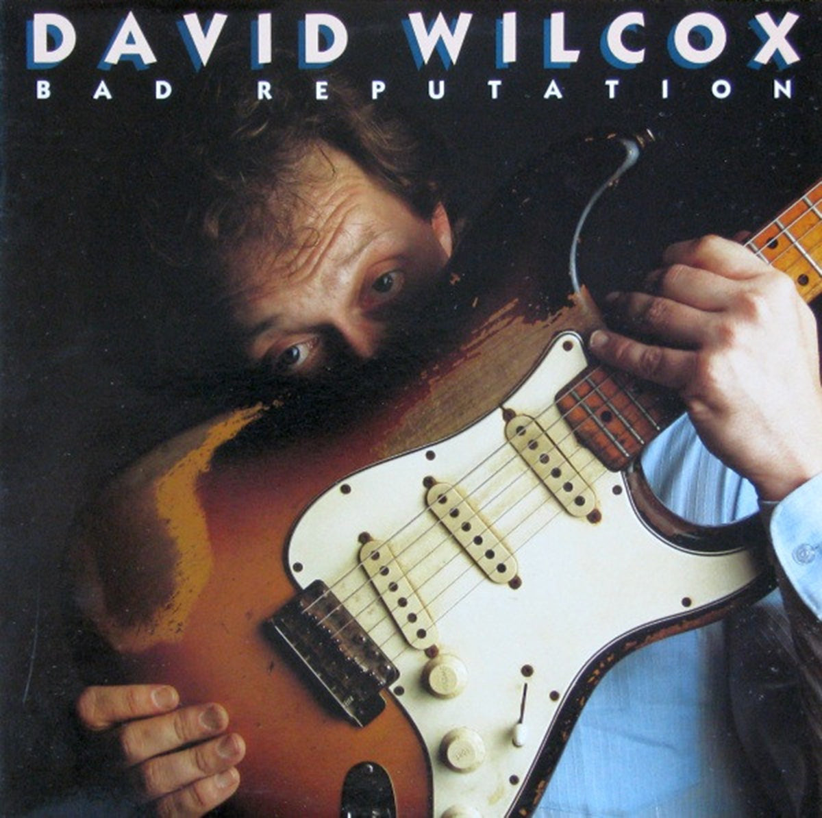 David Wilcox – Bad Reputation - 1984 VinylPursuit.com