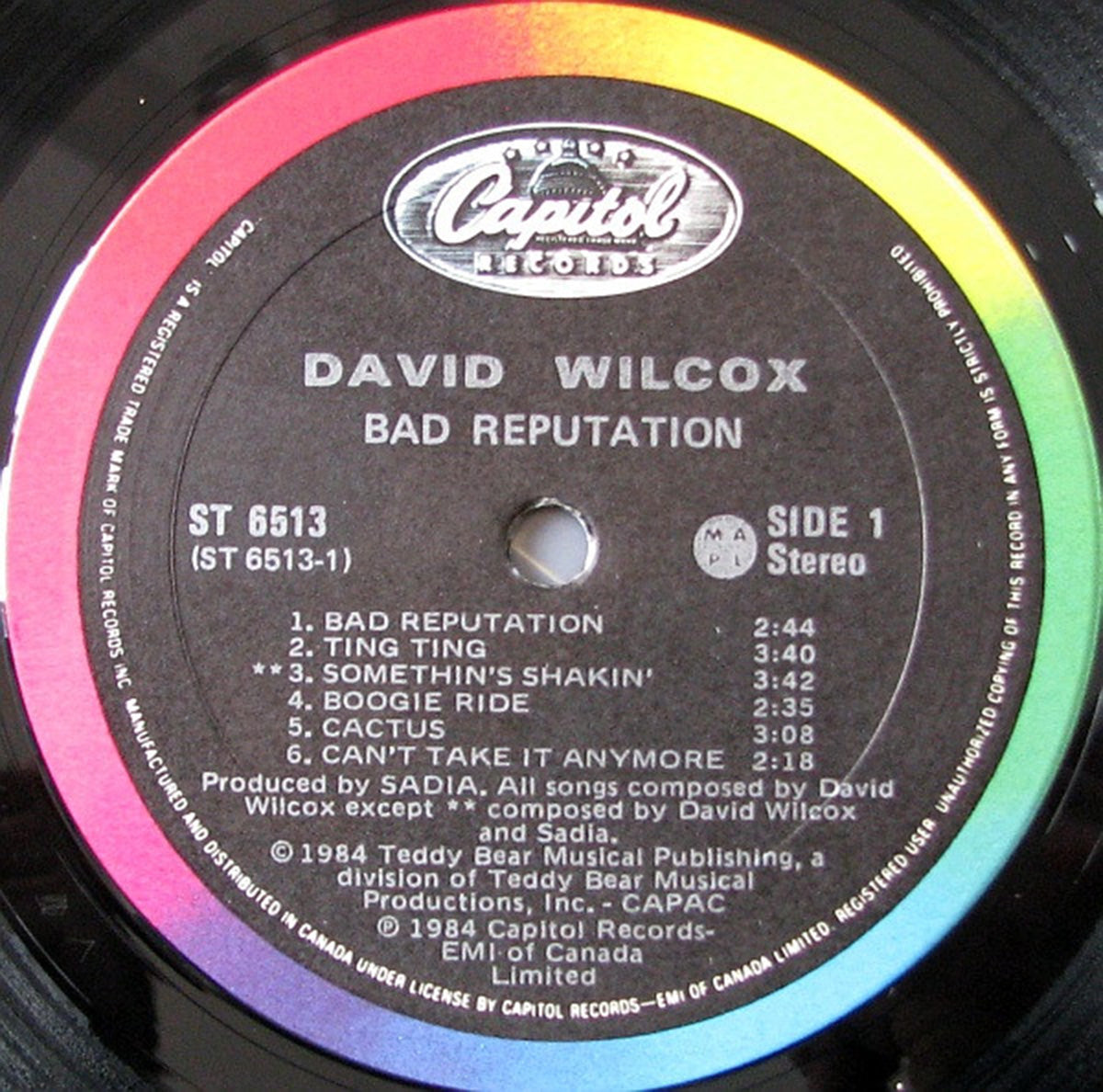 David Wilcox – Bad Reputation - 1984 VinylPursuit.com
