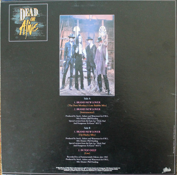 Dead Or Alive – Brand New Lover - 1986 Original! Vinyl Pursuit Inc