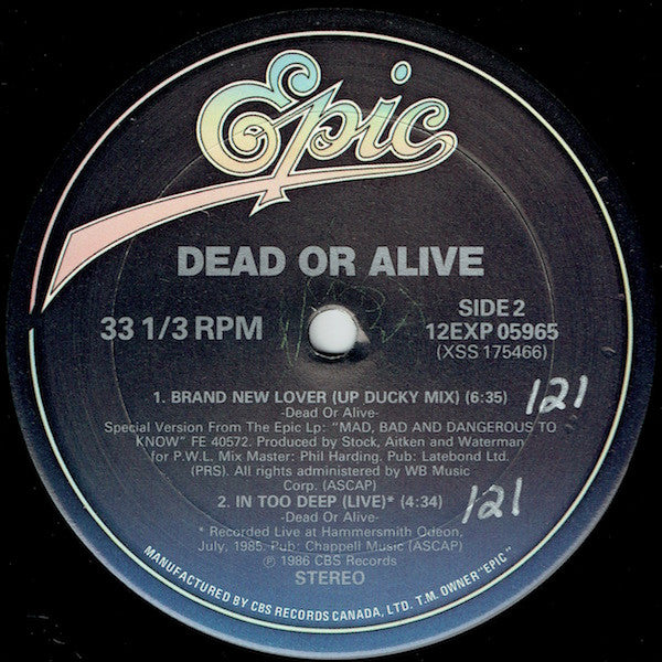 Dead Or Alive – Brand New Lover - 1986 Original! Vinyl Pursuit Inc