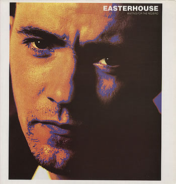 Easterhouse – Waiting For The Redbird - 1989 Original Pressing VinylPursuit.com
