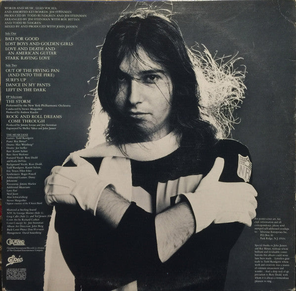 Jim Steinman – Bad For Good - 1981 Pressing VinylPursuit.com