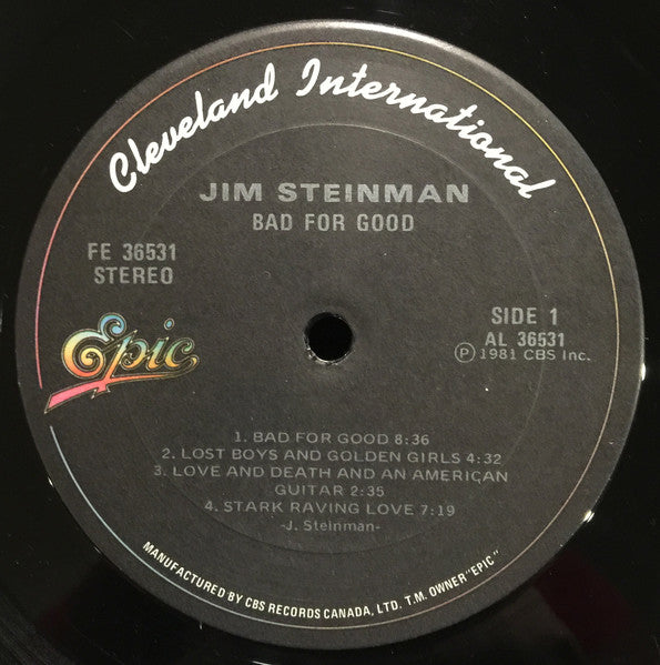 Jim Steinman – Bad For Good - 1981 Pressing VinylPursuit.com