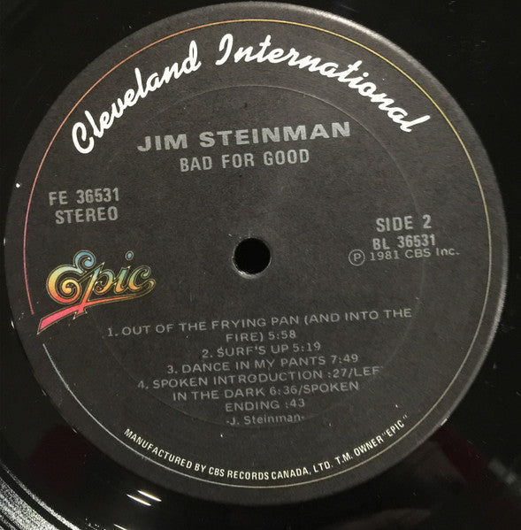 Jim Steinman – Bad For Good - 1981 Pressing VinylPursuit.com