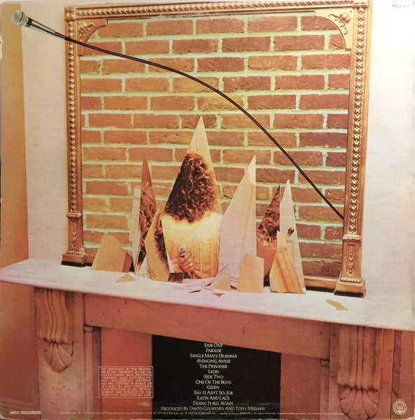 Roger Daltrey – One Of The Boys - 1977 VinylPursuit.com