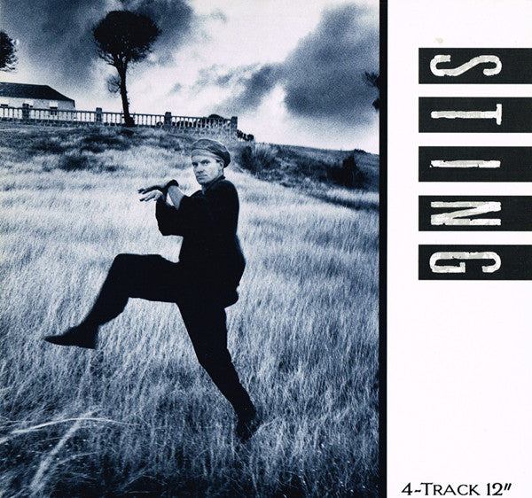 Sting – If You Love Somebody Set Them Free - 1985 Original! Vinyl Pursuit Inc