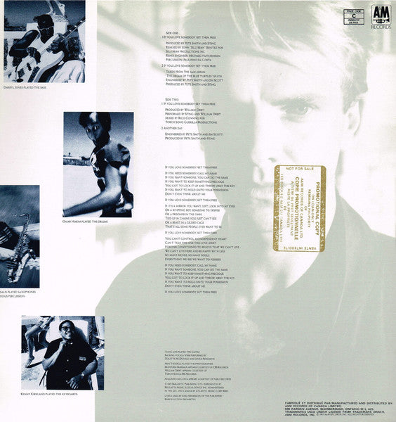 Sting – If You Love Somebody Set Them Free - 1985 Original! Vinyl Pursuit Inc