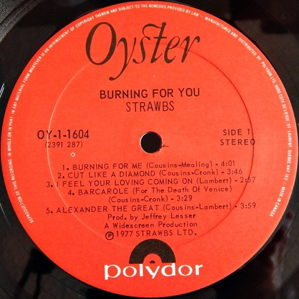 Strawbs – Burning For You - 1977 Original Pressing Vinyl Pursuit Inc