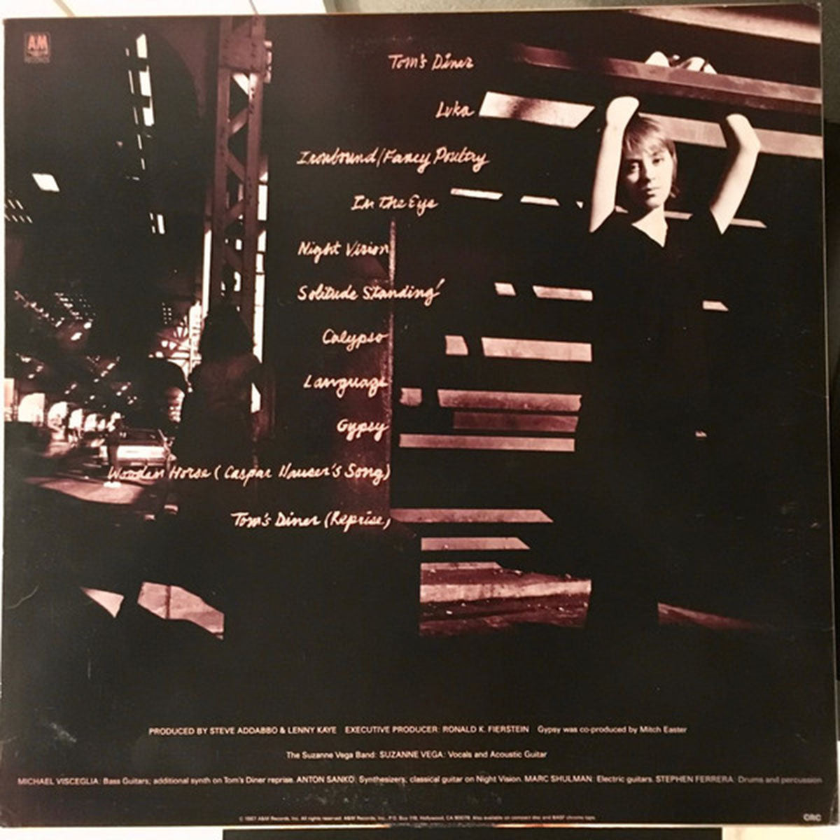 Suzanne Vega – Solitude Standing - 1987 VinylPursuit.com