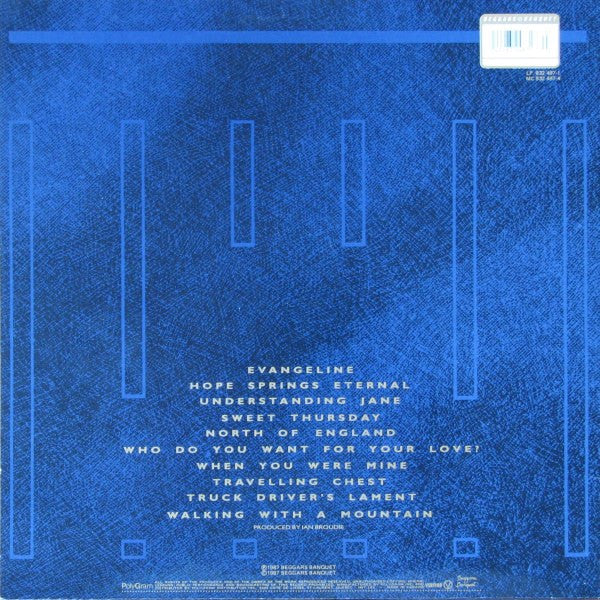 The Icicle Works – If You Want To Defeat Your Enemy Sing His Song - 1987 Original + Sampler Vinyl Pursuit Inc