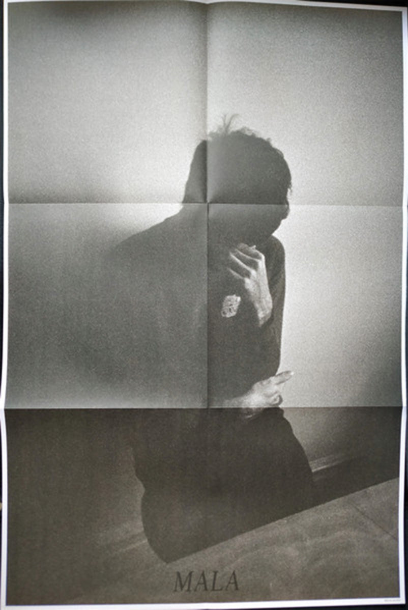 Devendra Banhart – Mala + 7" Single & Poster VinylPursuit.com