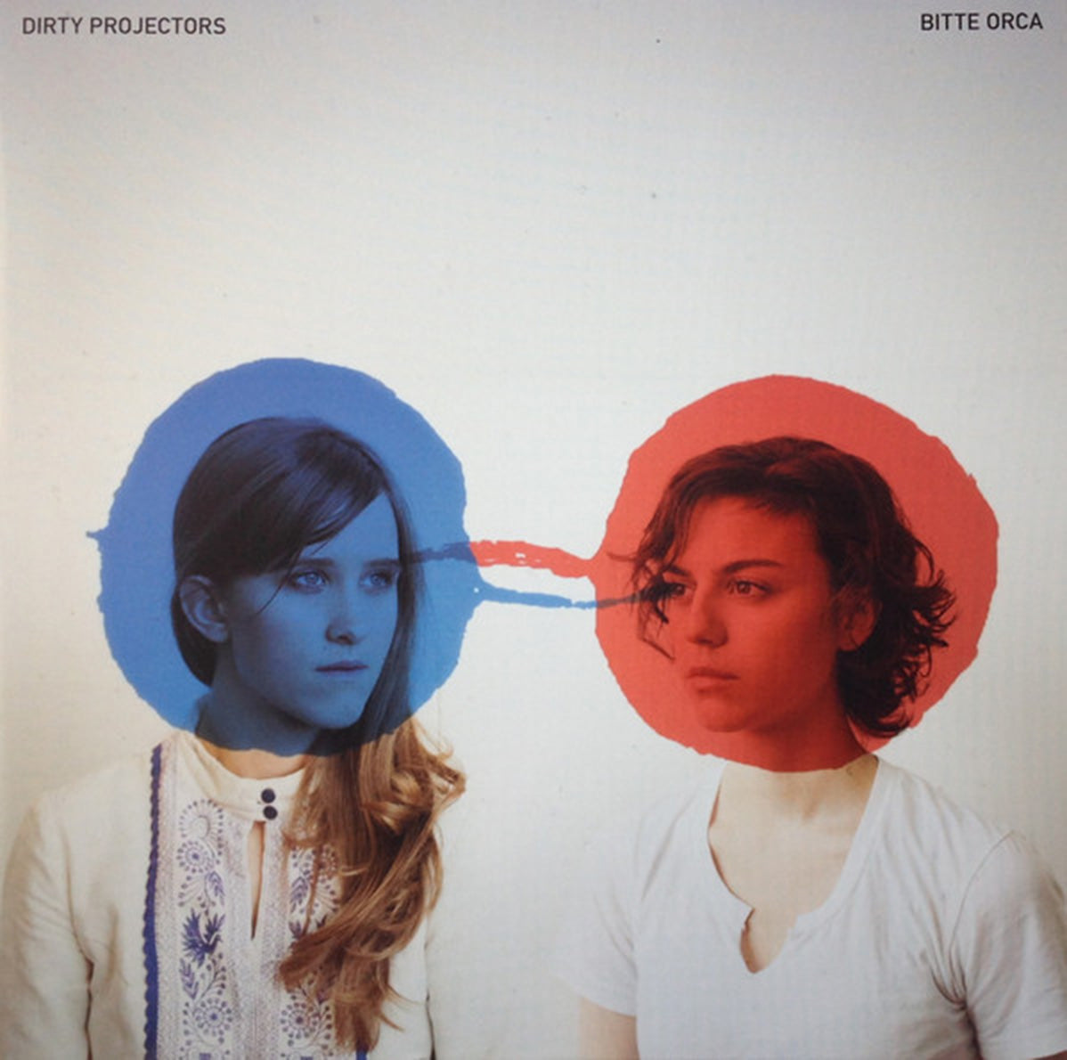 Dirty Projectors – Bitte Orca VinylPursuit.com