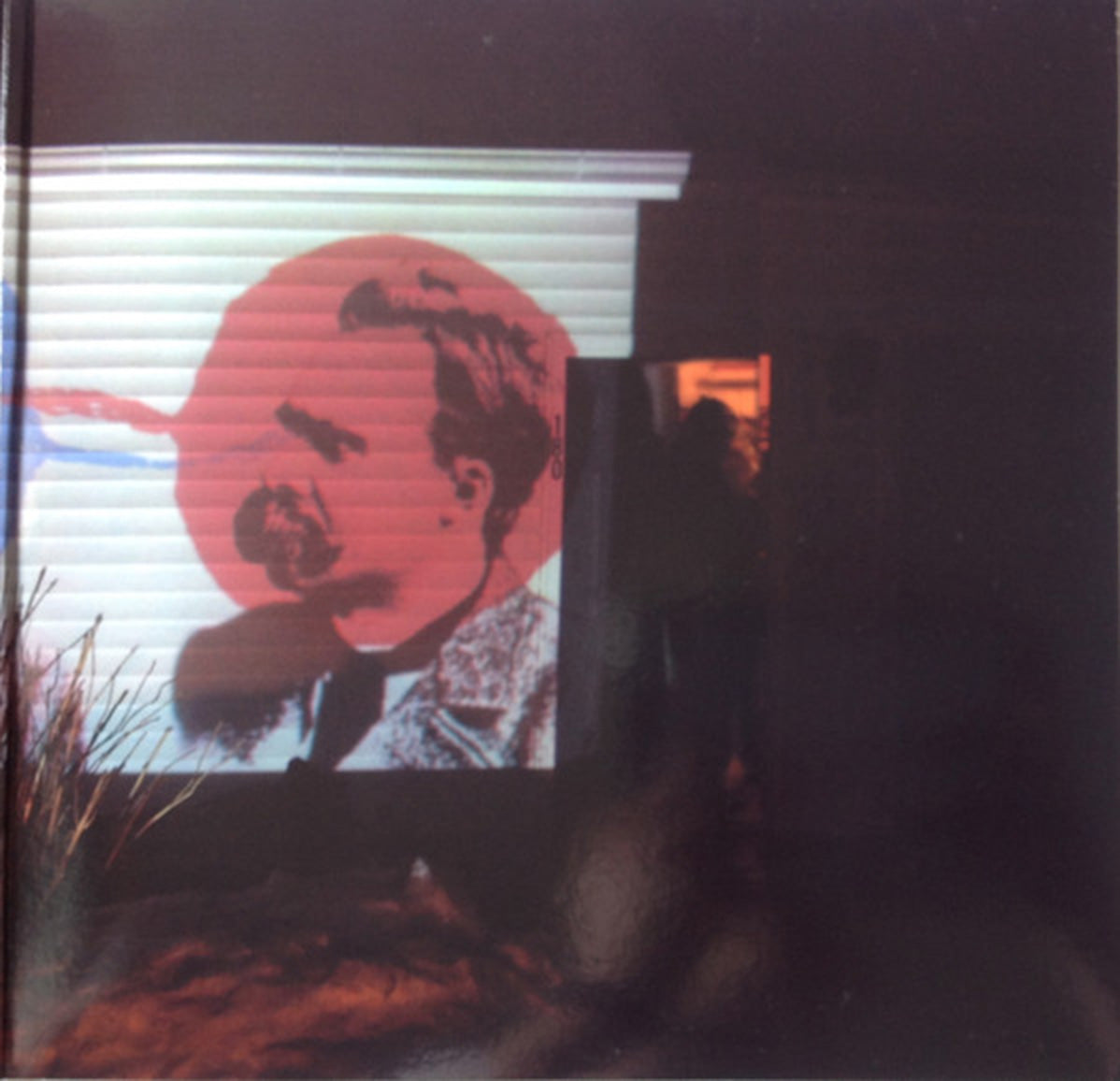 Dirty Projectors – Bitte Orca VinylPursuit.com