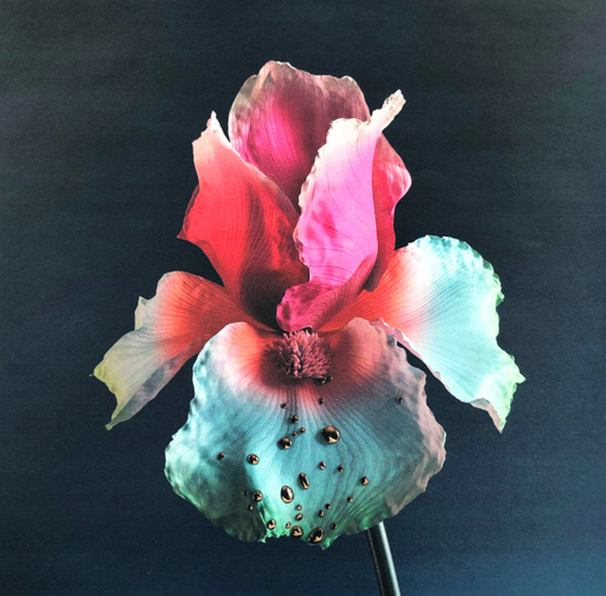 Flume – Skin - PURPLE SWIRL VINYL VinylPursuit.com