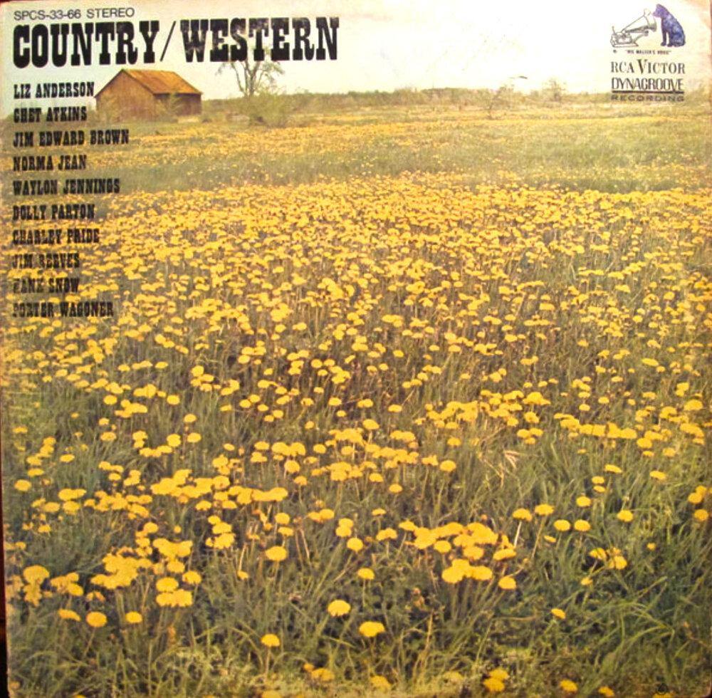 COUNTRY & WESTERN - Various - VinylPursuit.com
