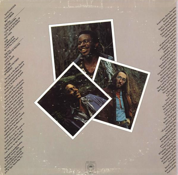 David Sancious – Forest Of Feelings VinylPursuit.com