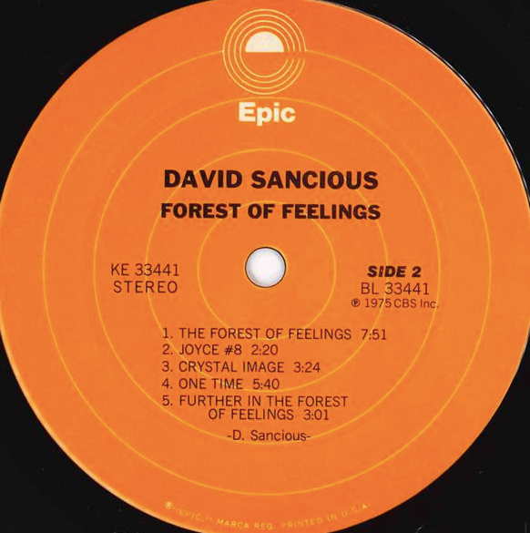 David Sancious – Forest Of Feelings VinylPursuit.com
