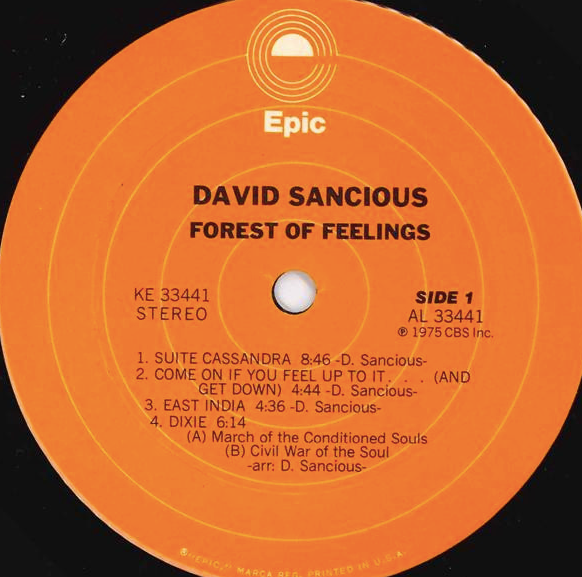 David Sancious – Forest Of Feelings VinylPursuit.com