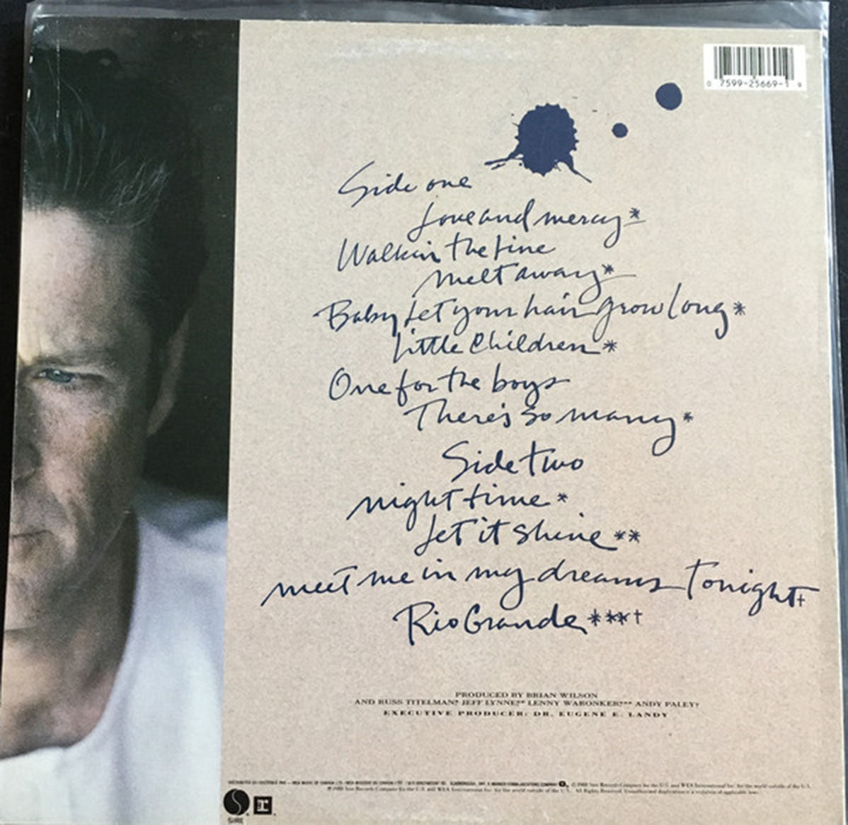Brian Wilson – Brian Wilson VinylPursuit.com