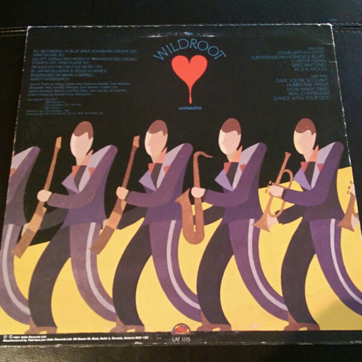 The Wildroot Orchestra – The Wildroot Orchestra VinylPursuit.com