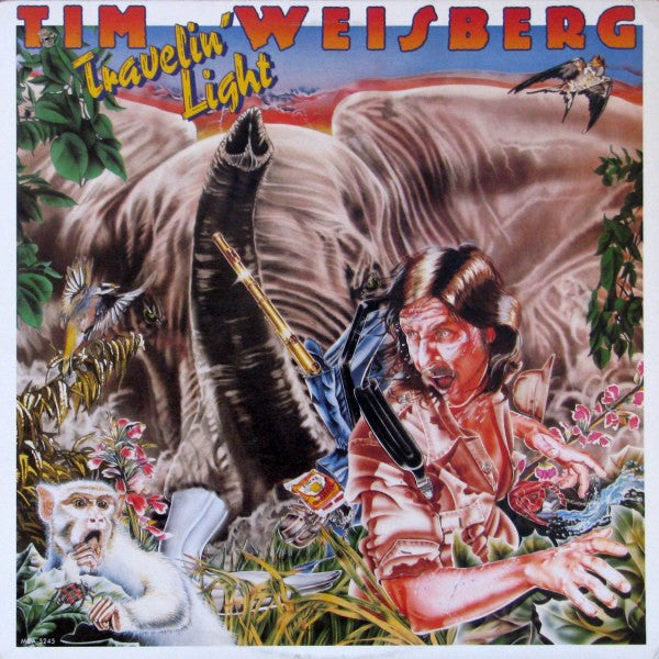 Tim Weisberg – Travelin' Light - 1981 VinylPursuit.com