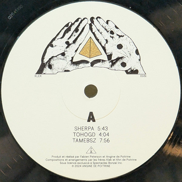 Angine De Poitrine – Vol I - US Pressing, Sealed! VinylPursuit.com