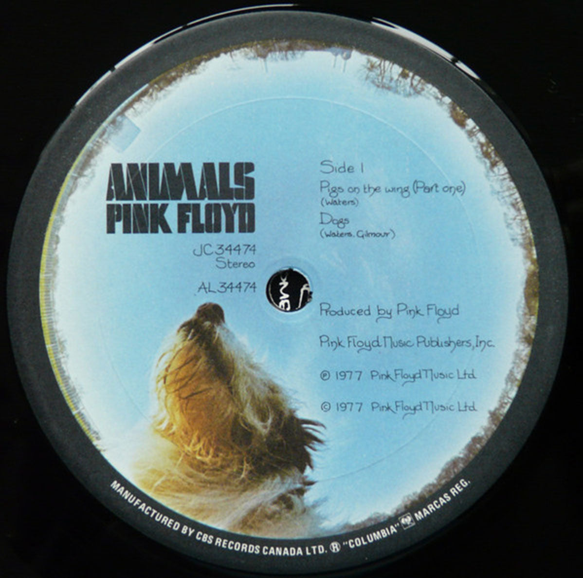 Pink Floyd – Animals  -1977 VinylPursuit.com