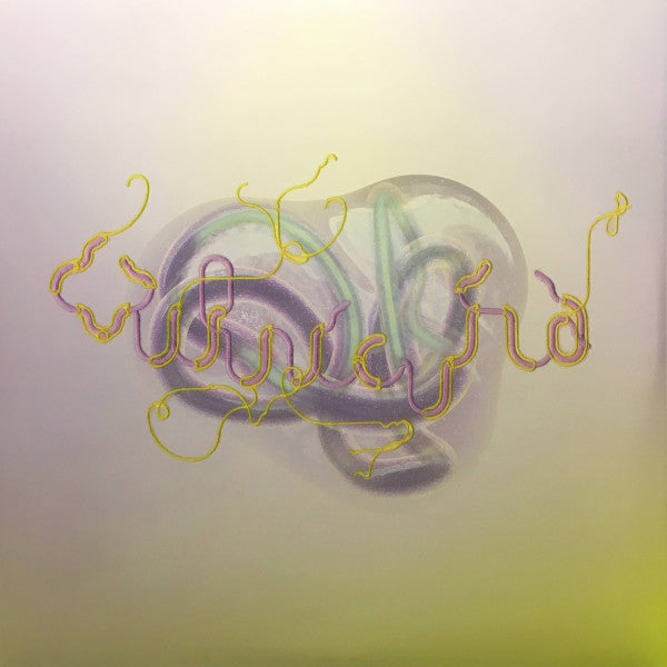 Bjork – Vulnicura - Deluxe Edition, Transparent Outer Sleeve - Vinyl Pursuit Inc