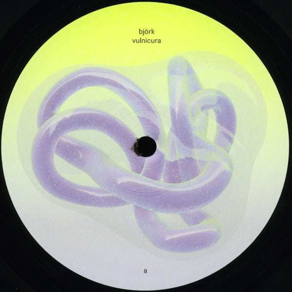 Bjork – Vulnicura - Deluxe Edition, Transparent Outer Sleeve - Vinyl Pursuit Inc