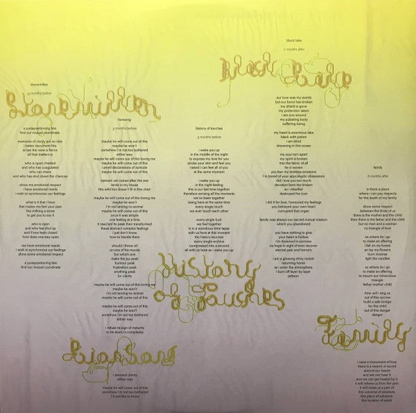 Bjork – Vulnicura - Deluxe Edition, Transparent Outer Sleeve - Vinyl Pursuit Inc