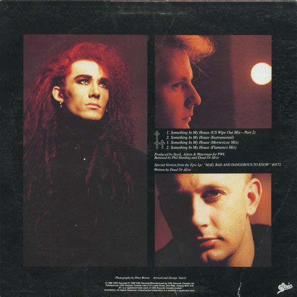 Dead Or Alive – Something In My House - 1986 VinylPursuit.com