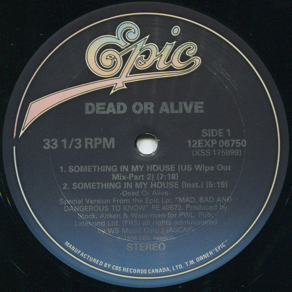 Dead Or Alive – Something In My House - 1986 VinylPursuit.com