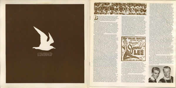 Jan and Dean – Jan and  Dean Anthology Album - 1978 Us Pressing