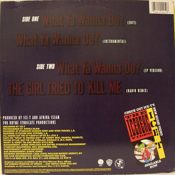 Ice-T – What Ya Wanna Do? - 1990 US Original