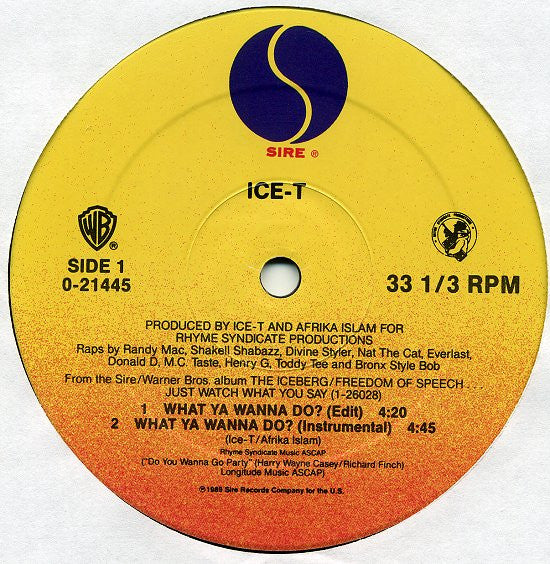Ice-T – What Ya Wanna Do? - 1990 US Original