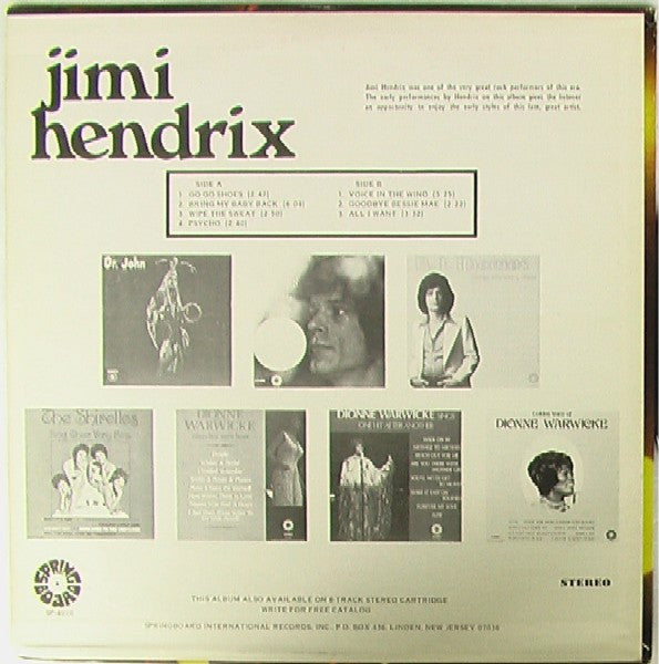 Adopt-a-Classic Album $1 - Jimi Hendrix – Jimi Hendrix - 1971 US Pressing VinylPursuit.com