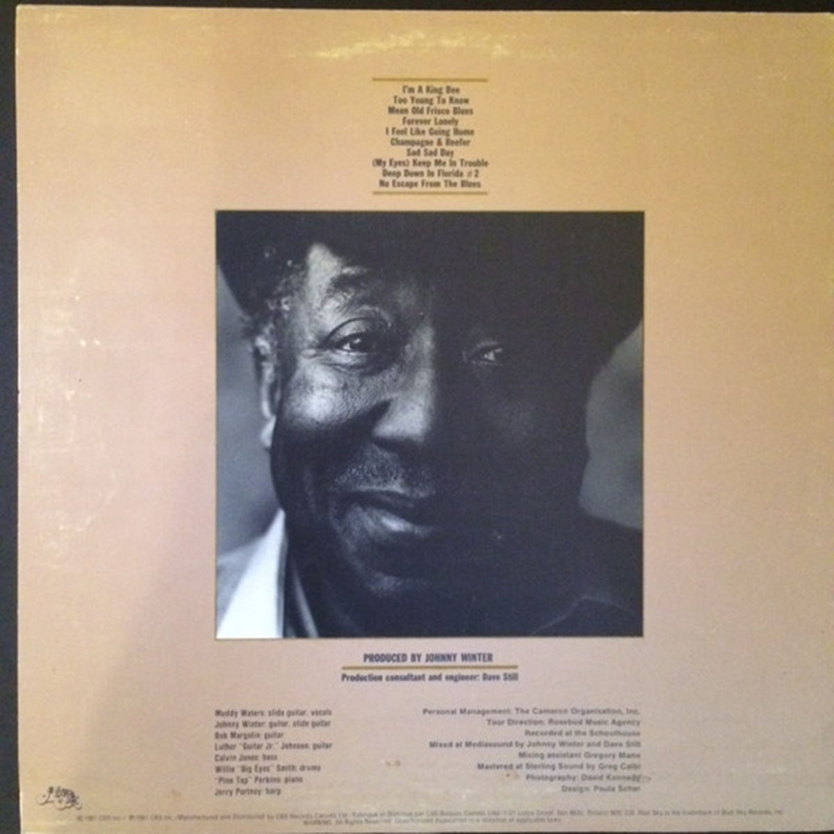 Muddy Waters – King Bee - 1981 – Vinyl Pursuit Inc