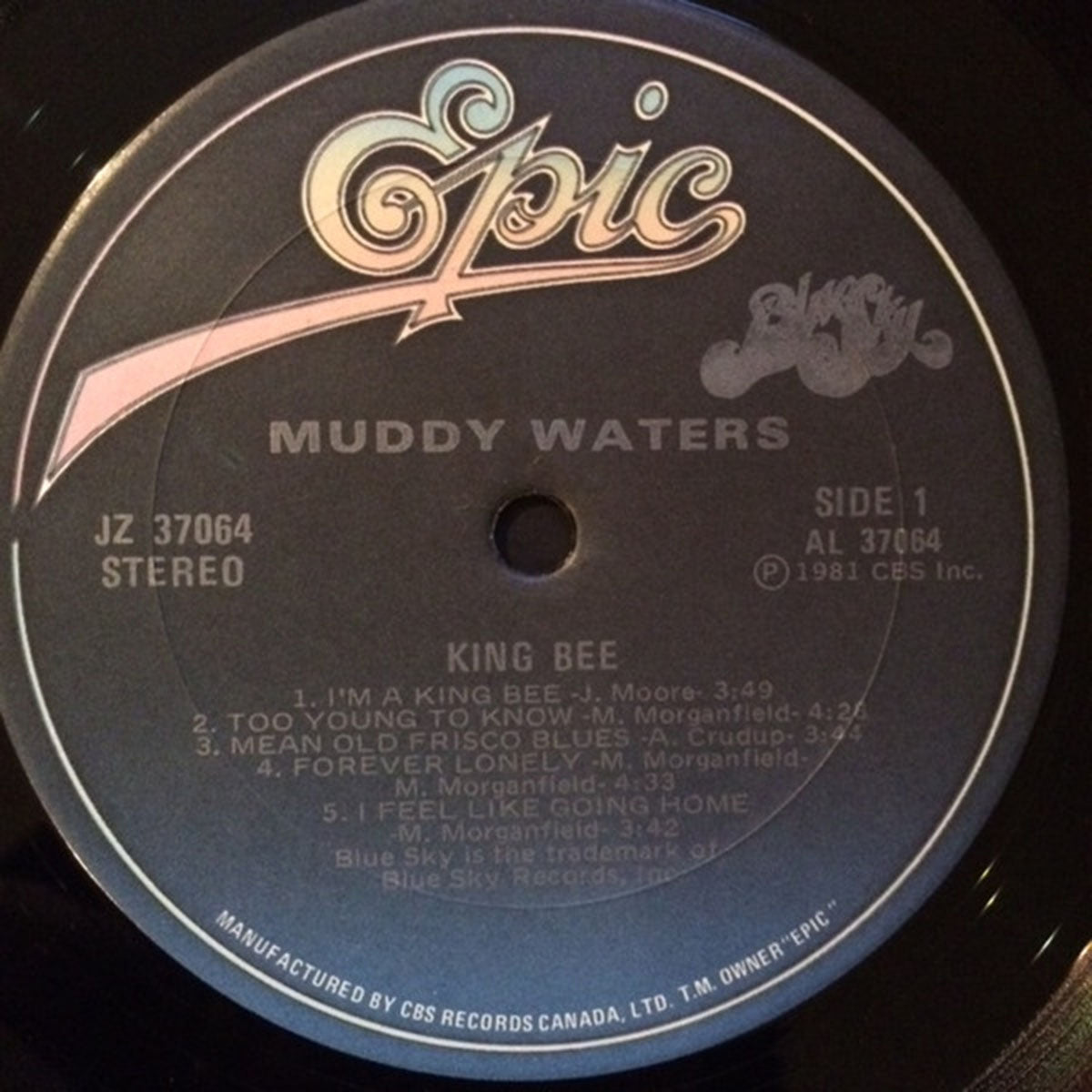 Muddy Waters – King Bee - 1981