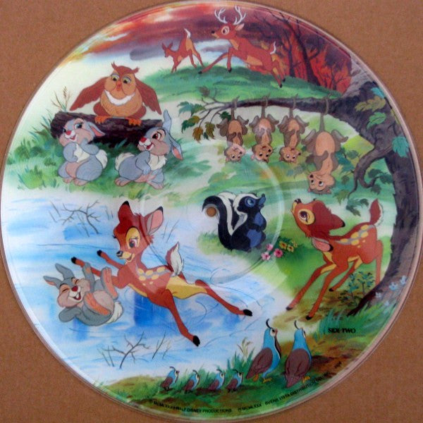 Story And Songs From Bambi - 1982 Original Picture Disc VinylPursuit.com